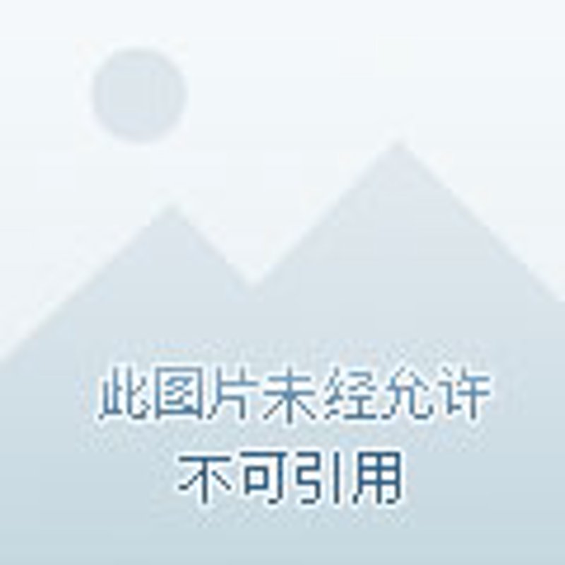 知己信息网:打造现代职场社交新生态